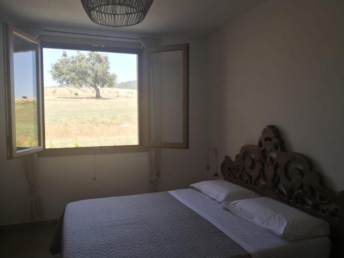 הוילה מליאנו אין טוסקנה Agriturismo Casa Ricci מראה חיצוני תמונה